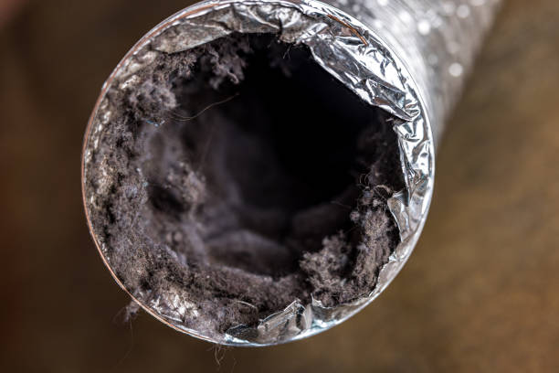 Best Commercial Air Duct Cleaning  in Burton, SC