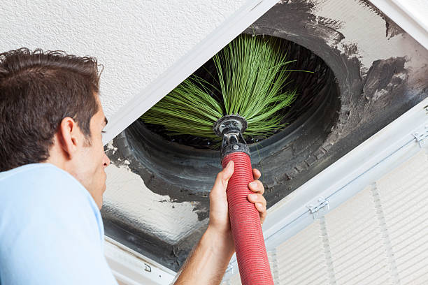 Best Affordable Duct Cleaning Services  in Burton, SC